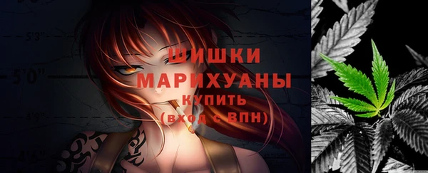 mix Богородицк