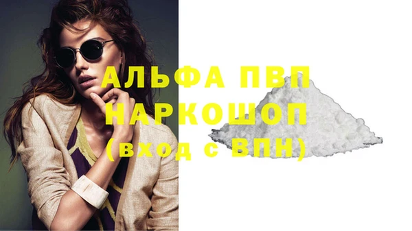 прущий лед Богданович