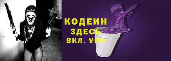 прущий лед Богданович