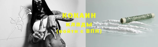mix Богородицк
