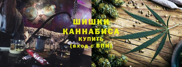 прущий лед Богданович