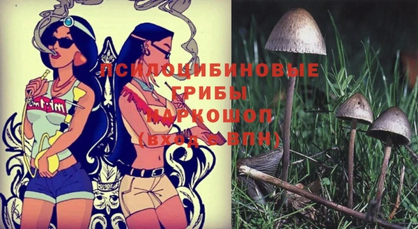 прущий лед Богданович