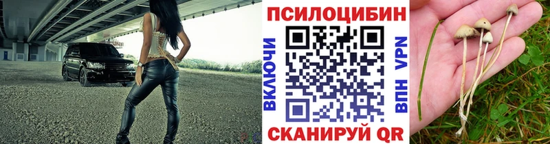 Галлюциногенные грибы ЛСД Клин
